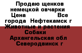 Продаю щенков немецкой овчарки › Цена ­ 5000-6000 - Все города, Нефтекамск г. Животные и растения » Собаки   . Архангельская обл.,Северодвинск г.